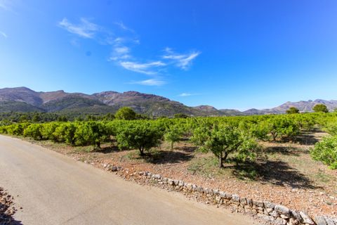 Helårsgrund i Orba, Alicante, Orba - € 170.000 | Ref: 001569 - foto 4