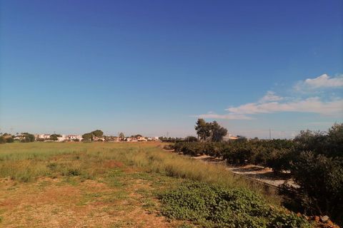Terra a El Verger, Alicante, El Verger - € 340.000 | Ref: L001629 - foto 3