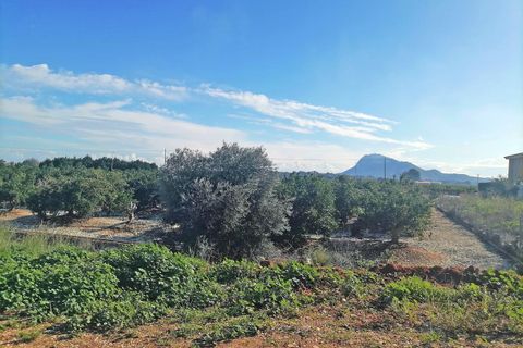 Terra a El Verger, Alicante, El Verger - € 340.000 | Ref: L001629 - foto 4