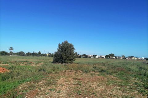 Terra a El Verger, Alicante, El Verger - € 340.000 | Ref: L001629 - foto 6