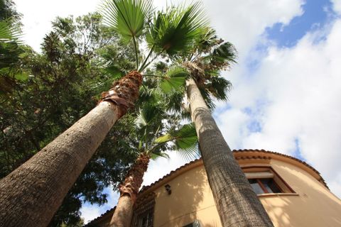 Villa i Denia, Alicante, Denia - € 775.000 | Ref: L001637 - foto 21