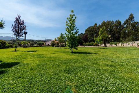 Farm i Ponte de Lima, Viana do Castelo, Ponte de Lima - € 835.000 | Ref: PTL-001-088 - foto 40