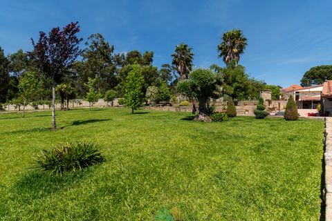 Farm i Ponte de Lima, Viana do Castelo, Ponte de Lima - € 835.000 | Ref: PTL-001-088 - foto 41