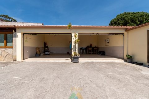 Farm i Ponte de Lima, Viana do Castelo, Ponte de Lima - € 835.000 | Ref: PTL-001-088 - foto 46