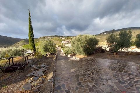Finca i Itrabo, Granada, Itrabo - € 1.350.000 | Ref: M636 - foto 31
