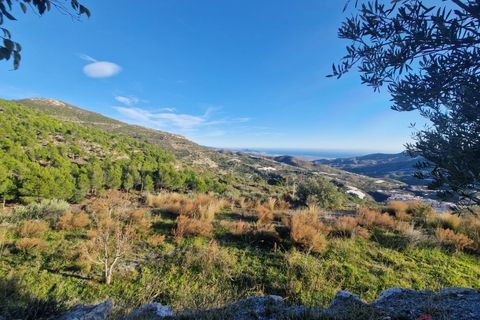 Finca i Itrabo, Granada, Itrabo - € 295.000 | Ref: M632 - foto 2