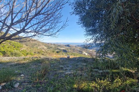 Finca i Itrabo, Granada, Itrabo - € 295.000 | Ref: M632 - foto 3