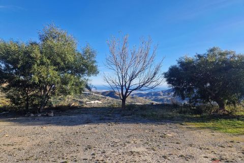 Finca i Itrabo, Granada, Itrabo - € 295.000 | Ref: M632 - foto 18