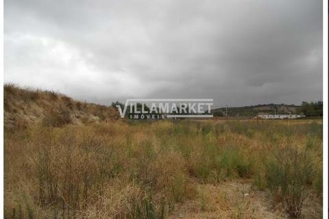 Terra a Alvito, Beja, Alvito - € 14.000 | Ref: JFCGD-02027241EE - foto 2
