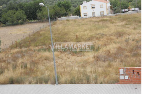 Terra a Alvito, Beja, Alvito - € 14.000 | Ref: JFCGD-02027241EE - foto 3