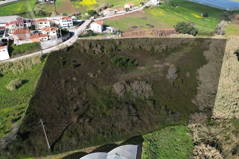 Helårsgrund i Mafra, Lisbon, Mafra - € 37.000 | Ref: SÒL_115 - foto 2