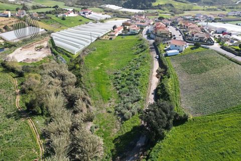 Helårsgrund i Mafra, Lisbon, Mafra - € 37.000 | Ref: SÒL_115 - foto 4