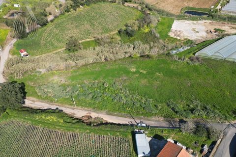 Helårsgrund i Mafra, Lisbon, Mafra - € 37.000 | Ref: SÒL_115 - foto 5