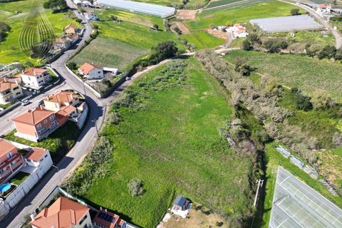 Helårsgrund i Mafra, Lisbon, Mafra - € 37.000 | Ref: SÒL_115 - foto 7