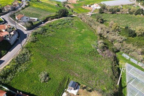 Helårsgrund i Mafra, Lisbon, Mafra - € 37.000 | Ref: SÒL_115 - foto 8