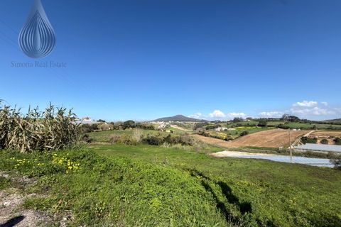 Helårsgrund i Mafra, Lisbon, Mafra - € 37.000 | Ref: SÒL_115 - foto 12