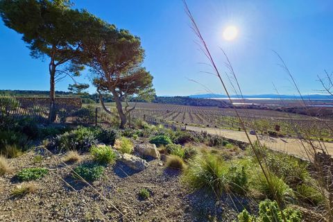 Villa i Narbonne, Aude, Narbonne - € 850.000 | Ref: CAP-29 - foto 11