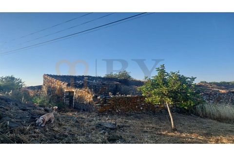 Villa i Beja, Beja, Beja - € 20.000 | Ref: BYS-1042 - foto 4