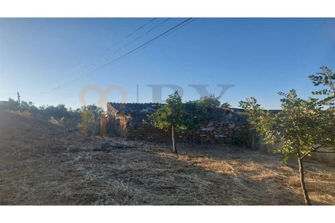 Villa i Beja, Beja, Beja - € 20.000 | Ref: BYS-1042 - foto 5