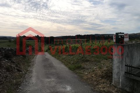 Villa i Vila Real, Vila Real, Vila Real - € 310.000 | Ref: CAS_400 - foto 5