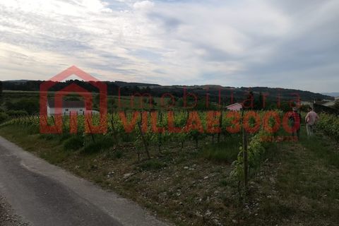 Villa i Vila Real, Vila Real, Vila Real - € 310.000 | Ref: CAS_400 - foto 6