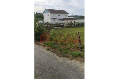 Villa i Vila Real, Vila Real, Vila Real - € 310.000 | Ref: CAS_400 - foto 13