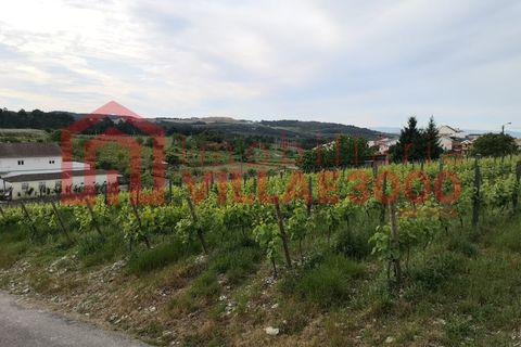 Villa i Vila Real, Vila Real, Vila Real - € 310.000 | Ref: CAS_400 - foto 15