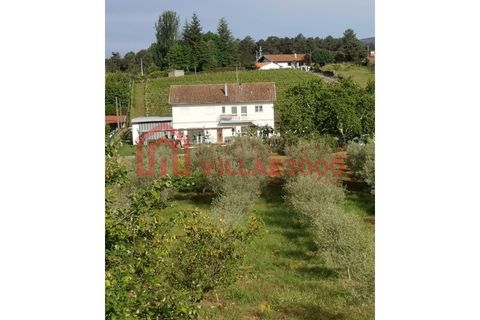Villa i Vila Real, Vila Real, Vila Real - € 310.000 | Ref: CAS_400 - foto 20