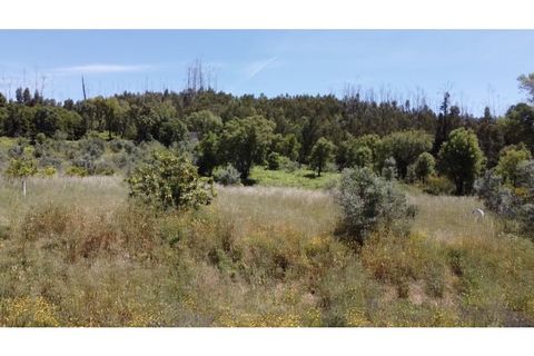 Helårsgrund i Monchique, Faro, Monchique - € 69.000 | Ref: MS111 - foto 2