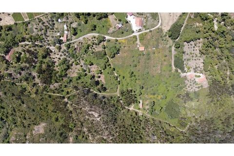 Helårsgrund i Monchique, Faro, Monchique - € 69.000 | Ref: MS111 - foto 4