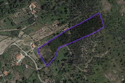 Helårsgrund i Monchique, Faro, Monchique - € 69.000 | Ref: MS111 - foto 5