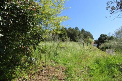 Villa i Abrantes, Santarem, Abrantes - € 71.000 | Ref: P22-127 - foto 6