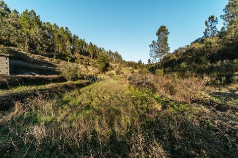Helårsgrund i Covilha, Castelo Branco, Covilha - € 19.500 | Ref: 111250033 - foto 2