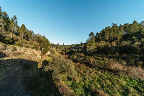Helårsgrund i Covilha, Castelo Branco, Covilha - € 19.500 | Ref: 111250033 - foto 5