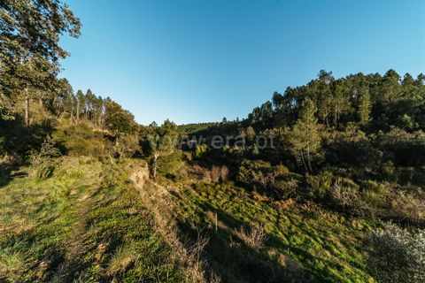 Helårsgrund i Covilha, Castelo Branco, Covilha - € 19.500 | Ref: 111250033 - foto 6