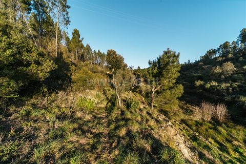 Helårsgrund i Covilha, Castelo Branco, Covilha - € 19.500 | Ref: 111250033 - foto 13