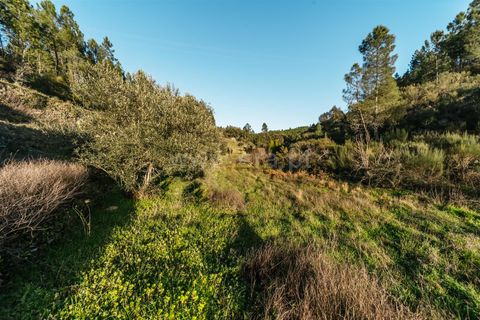 Helårsgrund i Covilha, Castelo Branco, Covilha - € 19.500 | Ref: 111250033 - foto 14