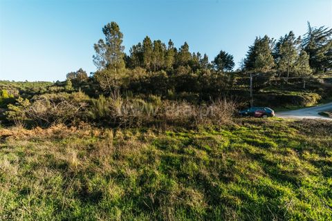 Helårsgrund i Covilha, Castelo Branco, Covilha - € 19.500 | Ref: 111250033 - foto 15
