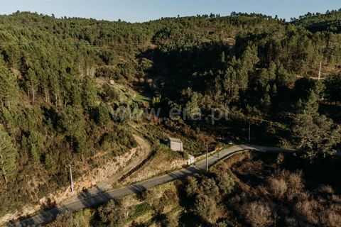 Helårsgrund i Covilha, Castelo Branco, Covilha - € 19.500 | Ref: 111250033 - foto 17