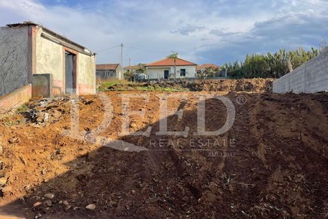 Terra a Ponta do Pargo, Madeira, Ponta do Pargo - € 125.000 | Ref: DEED/953 - foto 3