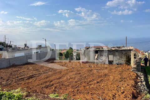 Terra a Ponta do Pargo, Madeira, Ponta do Pargo - € 125.000 | Ref: DEED/953 - foto 4
