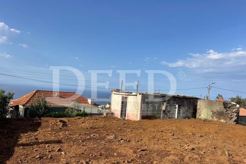 Terra a Ponta do Pargo, Madeira, Ponta do Pargo - € 125.000 | Ref: DEED/953 - foto 5