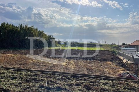 Terra a Ponta do Pargo, Madeira, Ponta do Pargo - € 125.000 | Ref: DEED/953 - foto 6