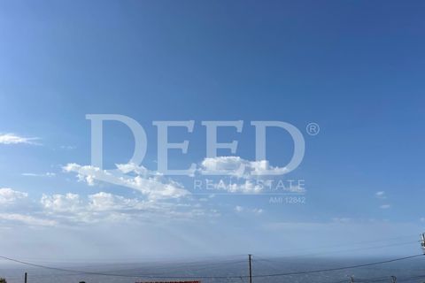 Terra a Ponta do Pargo, Madeira, Ponta do Pargo - € 125.000 | Ref: DEED/953 - foto 7