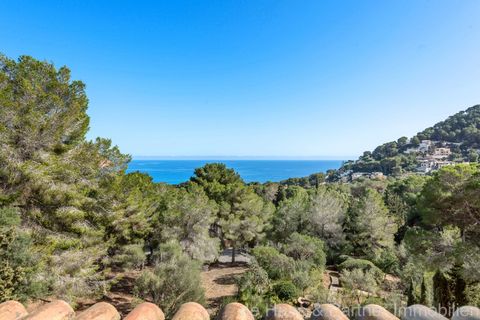 Villa a Canyamel, Mallorca, Canyamel - € 995.000 | Ref: 13044 D - foto 3
