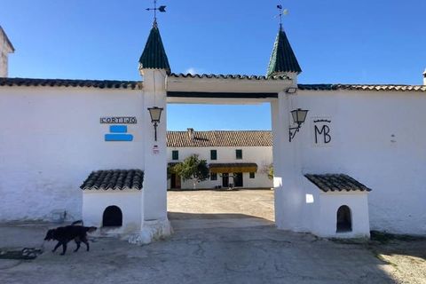 Finca in Rute, Cordoba - Foto 4