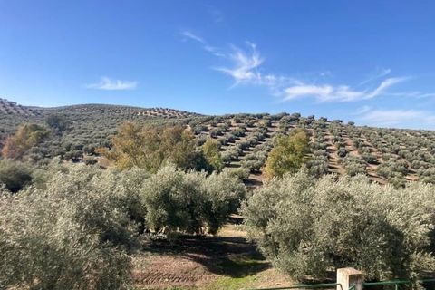 Finca in Rute, Cordoba - Foto 3