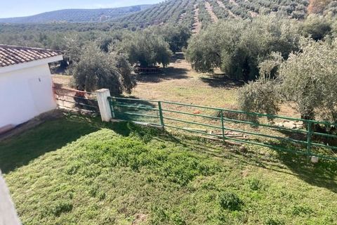 Finca in Rute, Cordoba - Foto 5