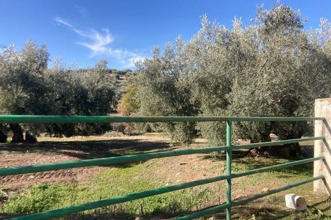 Finca i Rute, Cordoba, Rute - € 3 100 000 | Ref: AGR-1175 - foto 6