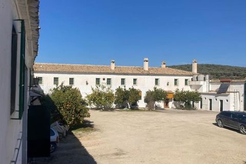 Finca i Rute, Cordoba, Rute - € 3 100 000 | Ref: AGR-1175 - foto 8